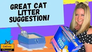 Why Do Cats Use Litter Boxes and Dogs Don't? 😻 CatCrazy