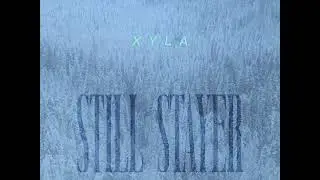 STILL STAYER - XYLA (VISUALIZER)