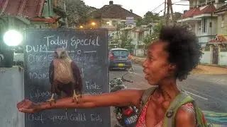 Animal Attacks in India & Nepal - Cow Chase, Monkey Attack & Wild Dogs