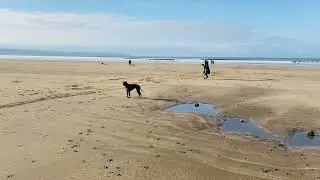 Westward Ho! Strolling 23