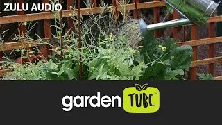 Rand Water: Waterwise plants for food gardening (Zulu)