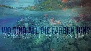 Basics of Underwater Photography: Colours and Light in Water