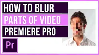 HOW TO BLUR A PICTURE IN A VIDEO CLIP IN PRMIERE PRO