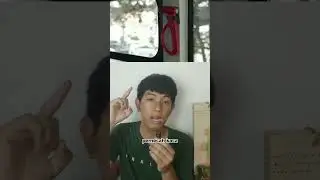 Bus Pariwisata Paiton 2003