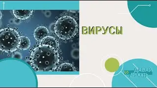 Давай Дружить - Вирусы и бактерии
