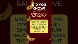 #banana #radioactive #didyouknow #didyouknowfacts #facts #information #knowledge