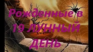 Рожденные в 19 лунный день