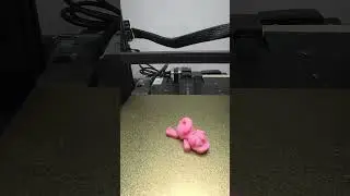 Cute animals 3D printing time lapse