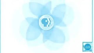 PBS ID (2001?) in Myriad Pro Flanged Saw