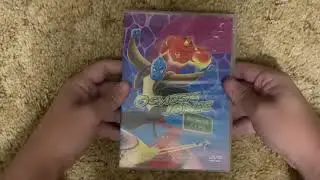 VHS and DVD Suprise Video for 8/28/24