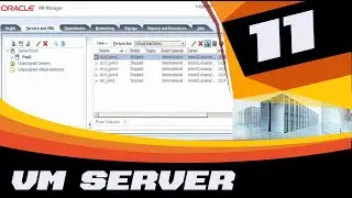 ORACLE VM SERVER FOR X86 - IMPLEMENTATION - Oracle VM Guest Additions (11-14)