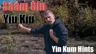 Saam Gin Yiu Kiu - In-depth Analysis of Yin Kum Technique | Chow Gar Tong Long Kung Fu