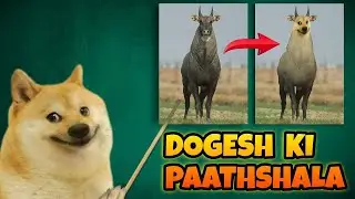 How to create your own Doge memes and Templates | Part 6 || @ABond​