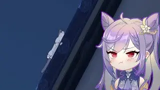The cat is smarter Keqing