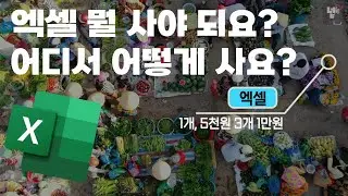 스프레드시트와 엑셀의 개념. 엑셀의 종류, 구매, 설치 방법 총정리!