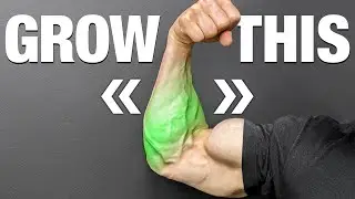 Only 5 Exercises For Your Forearms ( At Home )