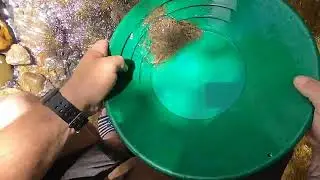 XP Deus hunt for gold nuggets part 2