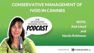 Conservative Management of IVDD in Canines