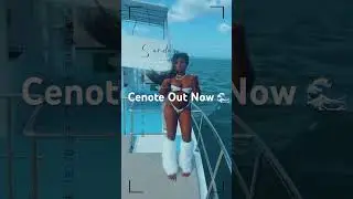 Cenote Music Video by Mylani Tsunami 🌊 Cenote 2 remix featuring Sada Baby is also streaming ❄️♐️