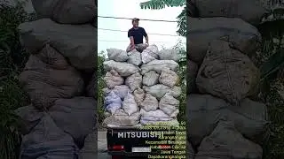 Bahan baku Arang bathok
