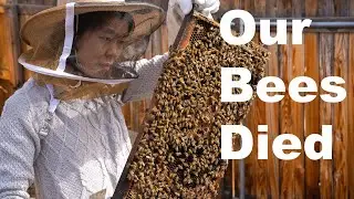 News Bees for 2022 (3-24-22)