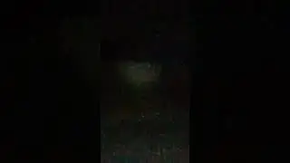 патрулирование территории  солдана,  и встретили каосулю.