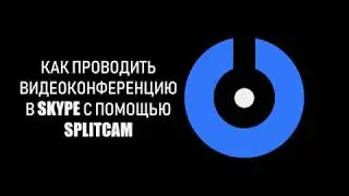 SplitCam 10 - Как проводить видеоконференцию в Skype с помощью SplitCam.