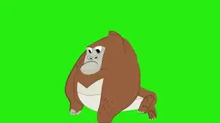 Walking gorIlla green screen/stampede animal gorilla green screen