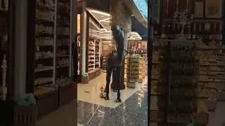 Аэропорт в Абу-Даби. 