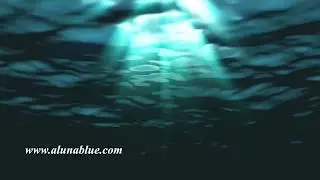 Underwater Stock Footage Water FX0309 HD