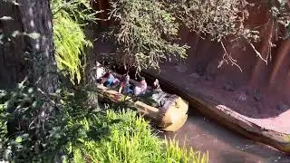 Splash Mountain shots part 1 #splashmountain