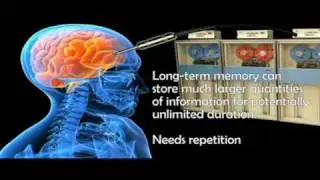 Memory and Concentration Techniques