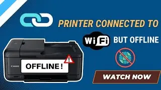 Printer Connectivity Problem: WiFi Offline Error Fix
