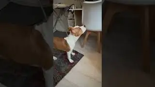 Ким и музыка.