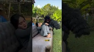 NGAKAK ABIS cewek cantik lagi tidur di GANGGU GRANDONG