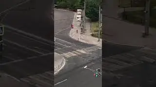 Ничего необычного для Белгорода, всего лишь косуля на утренней пробежке