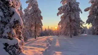 Вітомська Ліза - Біла зима (мінус)