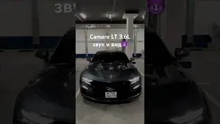 3.6 это не 2.0 на стейдже, звук и объем имеются😈Camaro LT 2020#chevroletcamaro #camaro #мощь