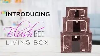 BlushBees LIVING BOX - Folding Storage Box for Wardrobe