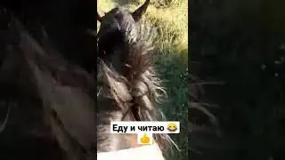 Читаю в дороге