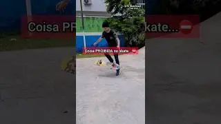 Coisas PROIBIDAS no skate ⛔*