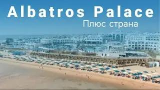 Обзор отеля Albatros Palace Sharm 2022
