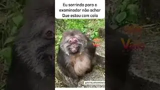 Quem nunca né, concurseiro? Duvidamos de nós mesmos 🤣🤣🤣...#meme  #concursopublico #humor