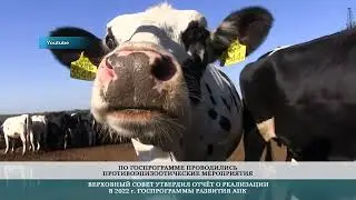Отчёты о госпрограммах в сфере сельского хозяйства и природных ресурсов – 4.05.2023