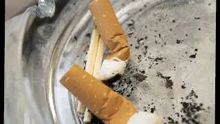 داء برغر سببه التدخين
