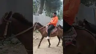 💥🤯 நூலிழையில் உயிர் தப்பிச்சோம் ⁉️ - HORSE TREKKING IN KASHMIR #shorts #trending #nesamanivlogs