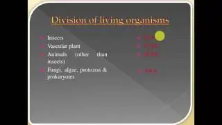 Biology Lecture 5 | PHYLETIC LINEAGE | Urdu Hindi | Punjab Text Book| YT Academy