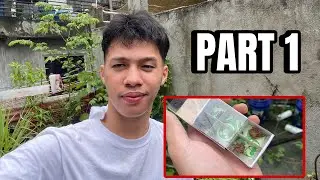 PINAKAWALAN KO ANG MGA PANG DERBY KONG GAGAMBA