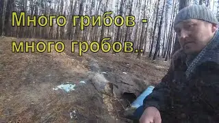 Picking mushrooms under the snow. Terrible finds.