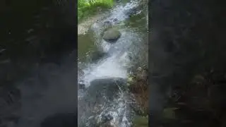 Река Старая ,Закарпатье 🇺🇦